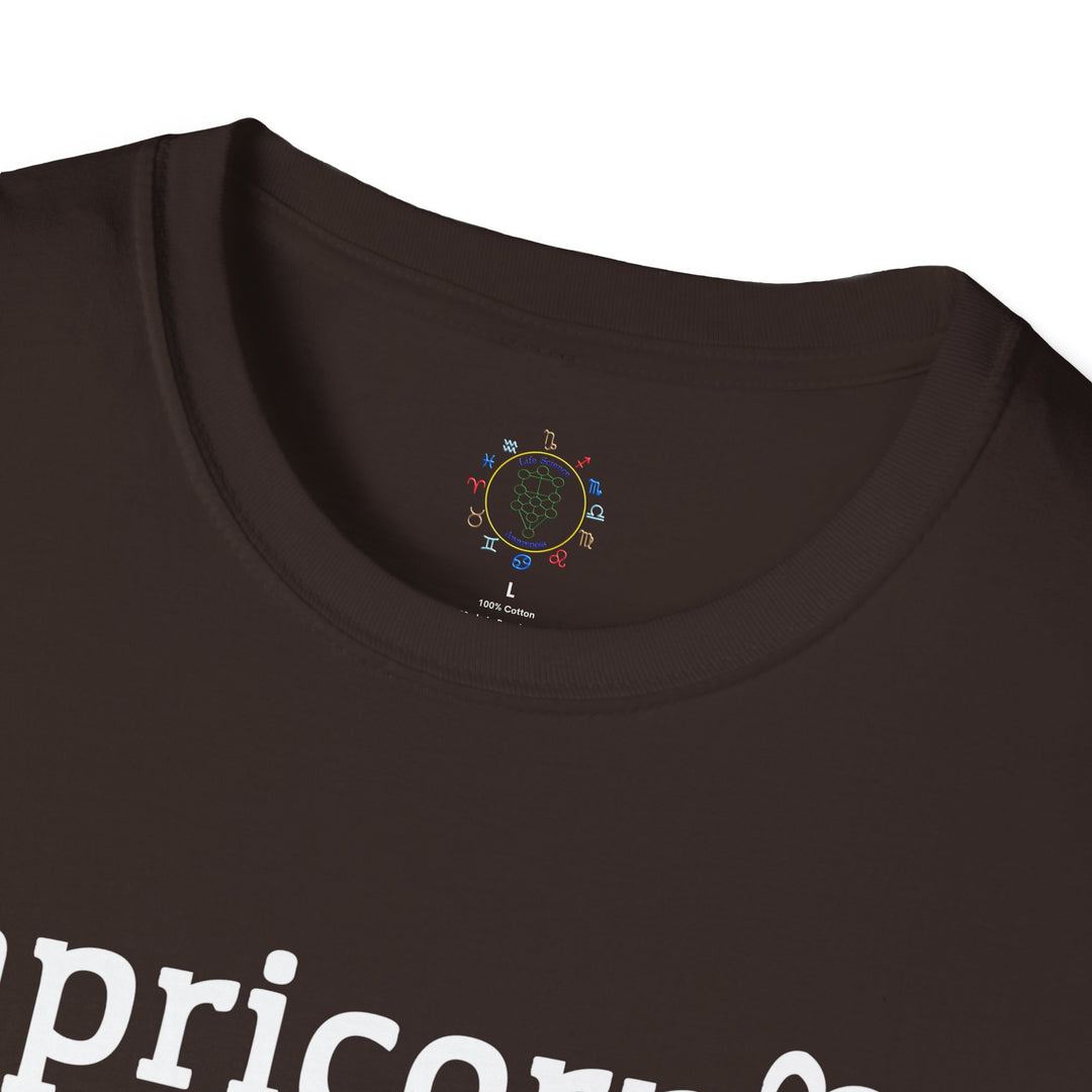 Capricorn Zodiac Affirmation Tee