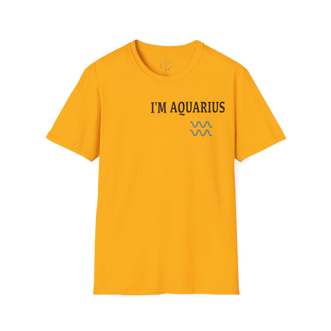 I'm Aquarius Zodiac Tee — Visionary, Thought, Astrology Shirt