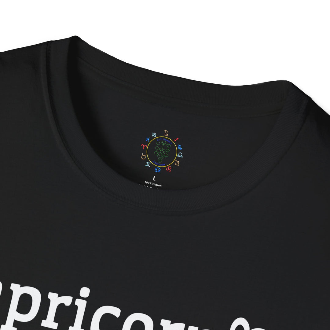 Capricorn Zodiac Affirmation Tee
