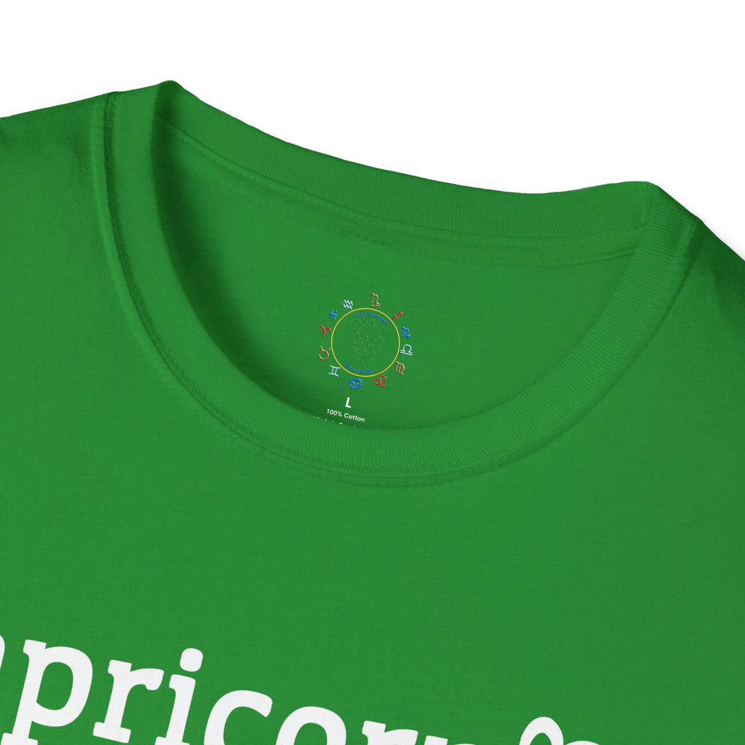 Capricorn Zodiac Affirmation Tee