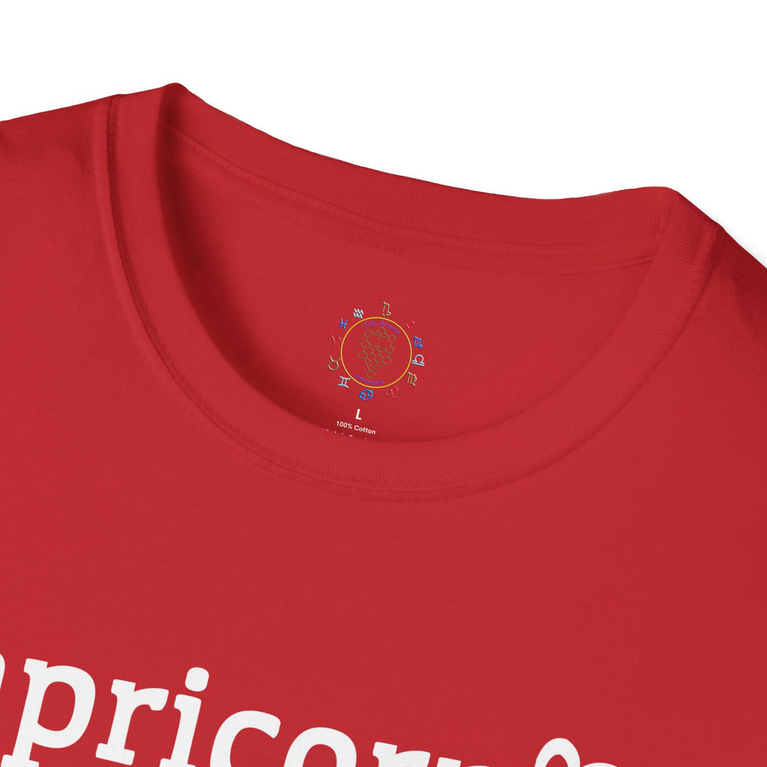 Capricorn Zodiac Affirmation Tee