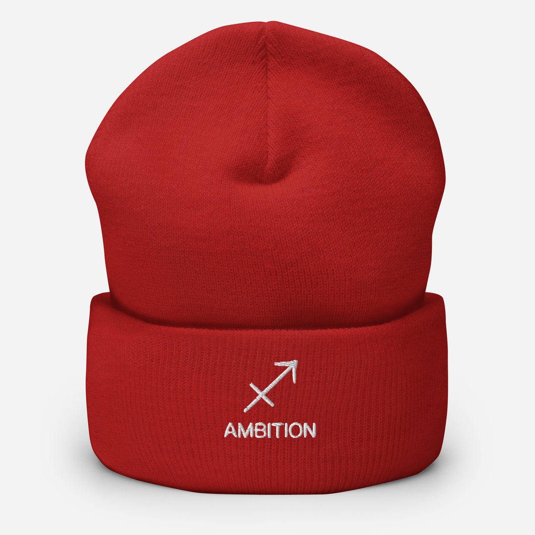 Sagittarius Ambition  Beanie – AstroZodiac360 Exclusive